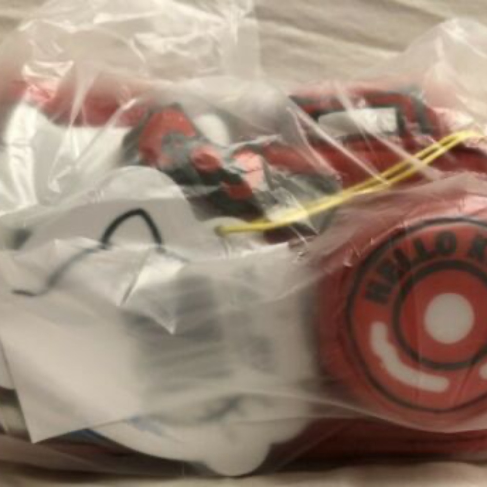 LeSportsac x Hello Kitty Camera Bag - Picture 6 of 7